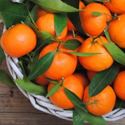 TPA Orange Mandarin 10ml Flavour (Rebottled)